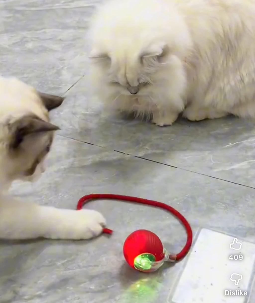 Cat Interactive Ball Toy Automatic Rolling Ball Tail Rechargeable Smart Pet Electric Toy Dog Cat Training Imitate Mouse