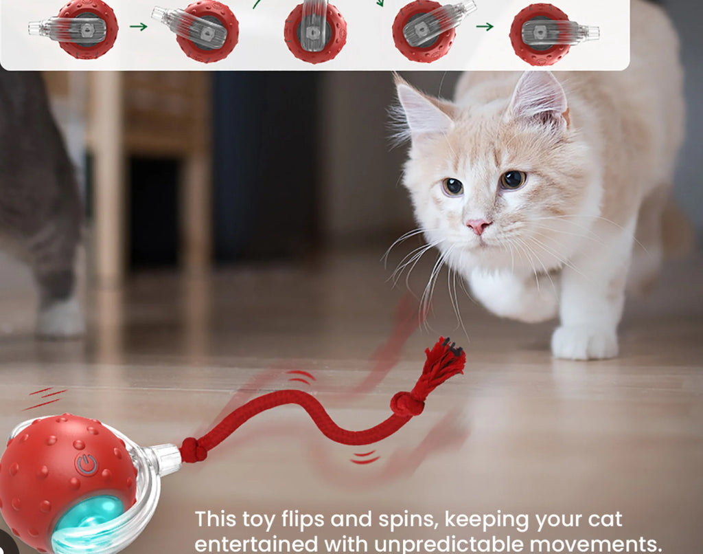 Cat Interactive Ball Toy Automatic Rolling Ball Tail Rechargeable Smart Pet Electric Toy Dog Cat Training Imitate Mouse