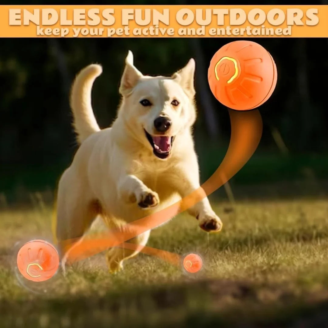Pet toys ANTI Gravity Electric Amusement Pet Ball Smart Bouncing Ball For Dogs and Cats [FREE SHIPPING]