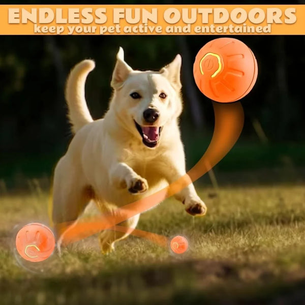 Pet toys ANTI Gravity Electric Amusement Pet Ball Smart Bouncing Ball For Dogs and Cats [FREE SHIPPING]