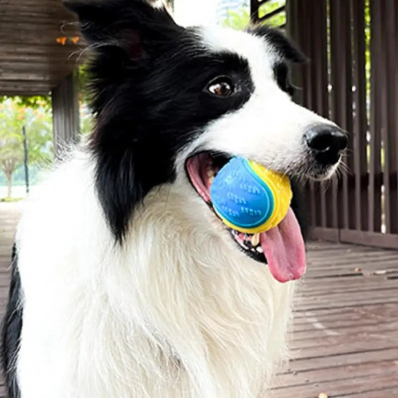 Dog Play Toy Rubber Glow Ball Indestructible Pet Supplie Train Tooth Chew Large Safe Small Dog Squeak Touch Water Toys Resistant