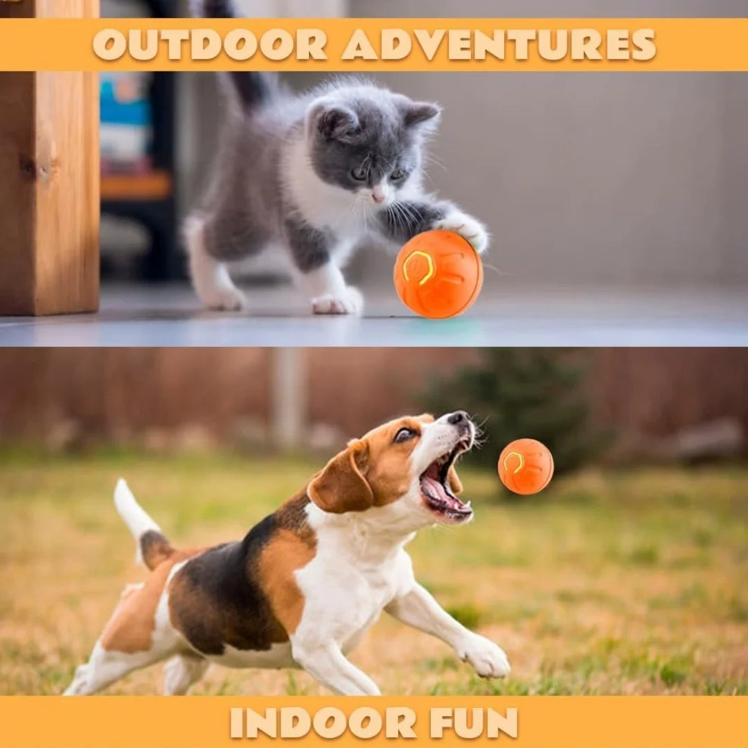 Pet toys ANTI Gravity Electric Amusement Pet Ball Smart Bouncing Ball For Dogs and Cats [FREE SHIPPING]