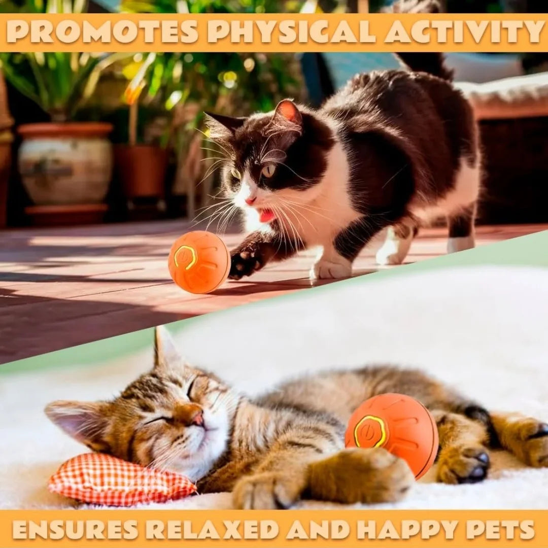 Pet toys ANTI Gravity Electric Amusement Pet Ball Smart Bouncing Ball For Dogs and Cats [FREE SHIPPING]