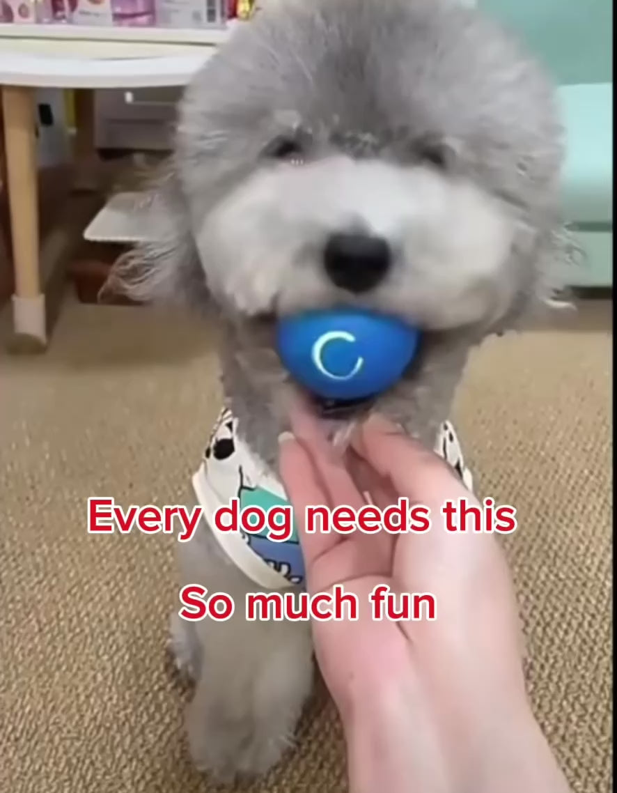 Pet toys ANTI Gravity Electric Amusement Pet Ball Smart Bouncing Ball For Dogs and Cats [FREE SHIPPING]